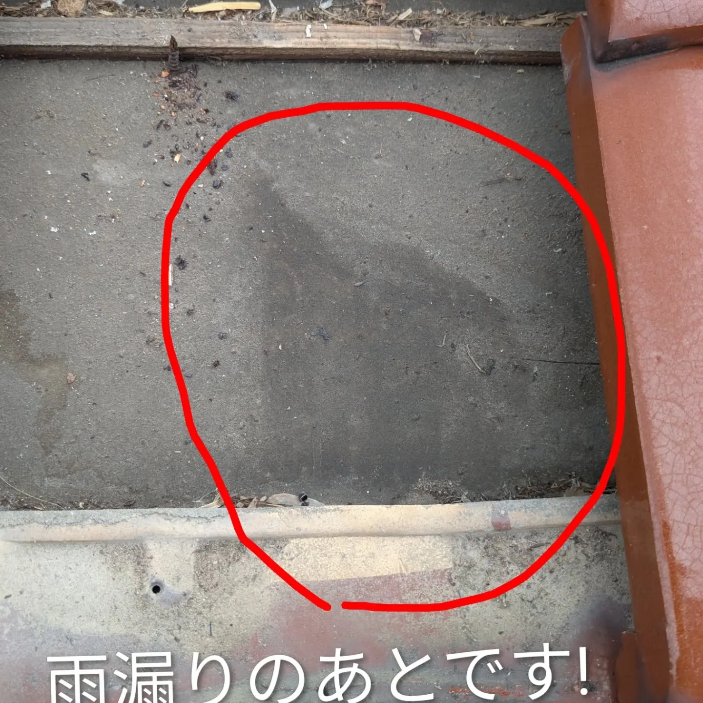ネット検索で雨漏り調査のご依頼を頂きました。