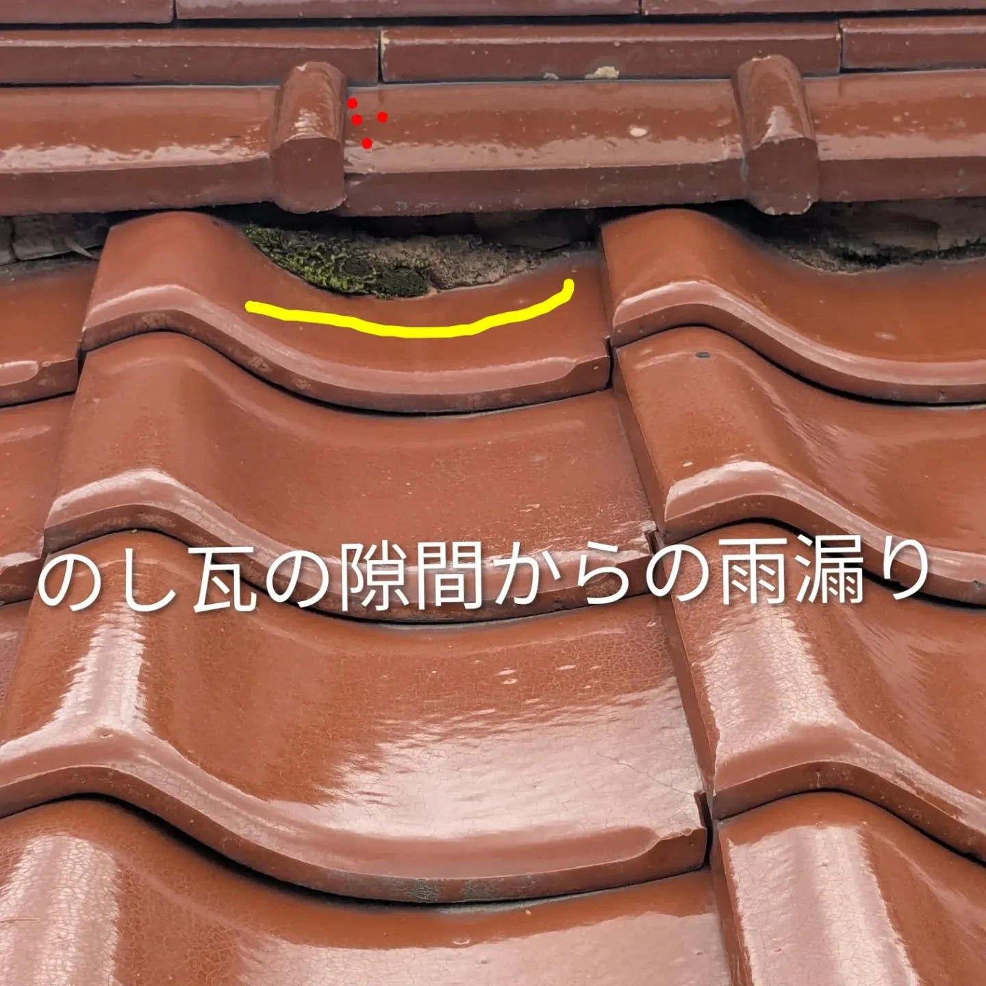 ネット検索で雨漏り調査のご依頼を頂きました。