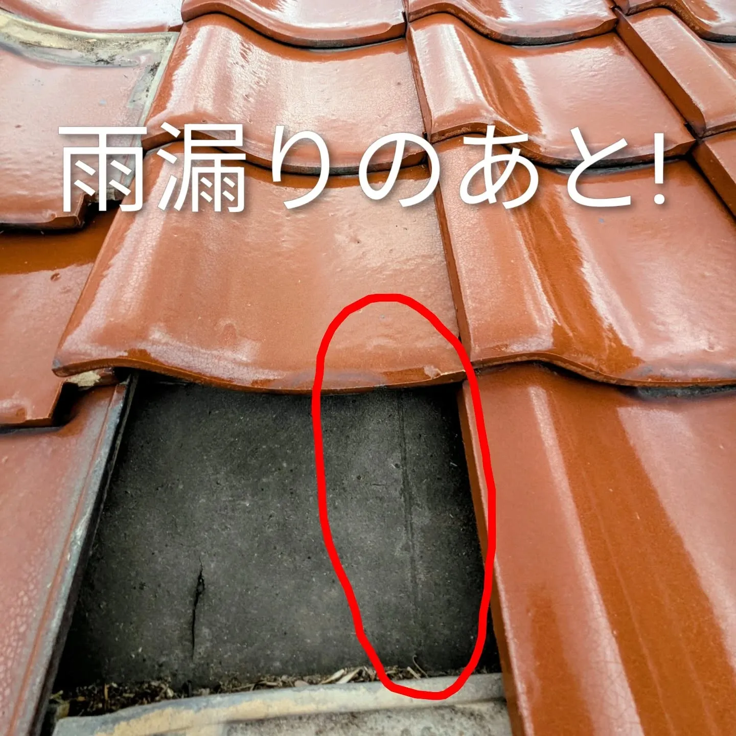 ネット検索で雨漏り調査のご依頼を頂きました。